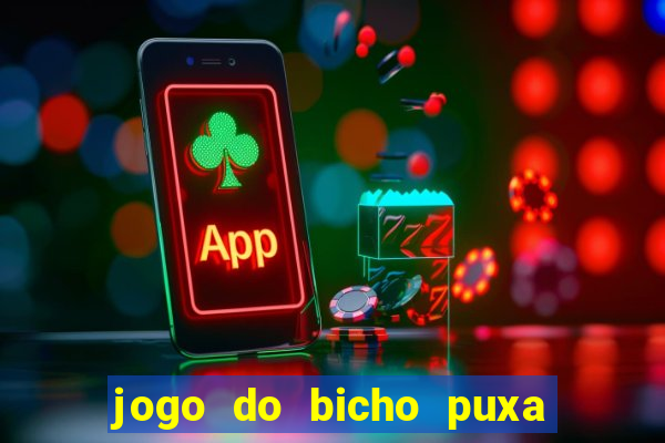 jogo do bicho puxa de dona maria